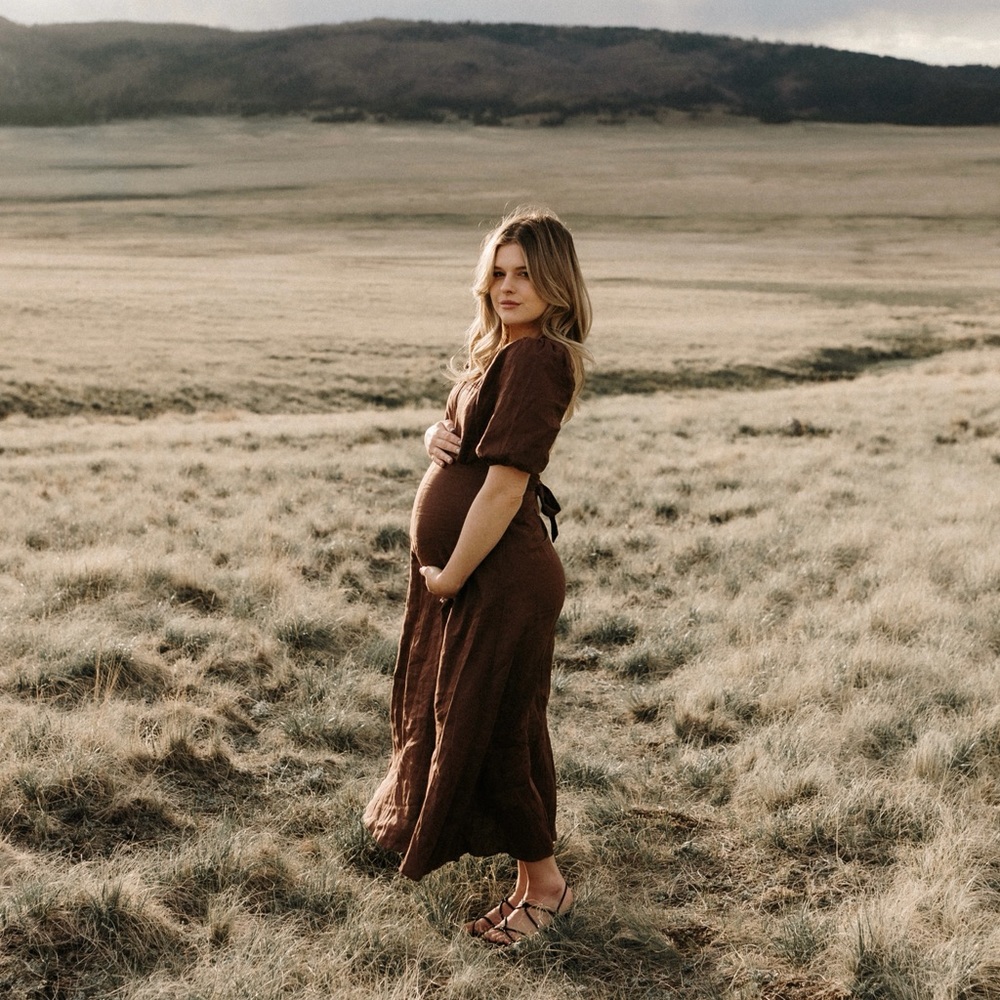 DISSH Chocolate Brown Dress with Sleeves and Open Back